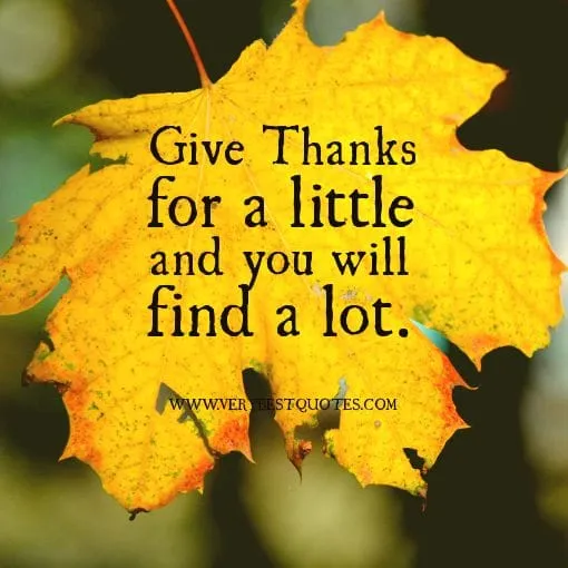 Words For Wednesday: Give Thanks