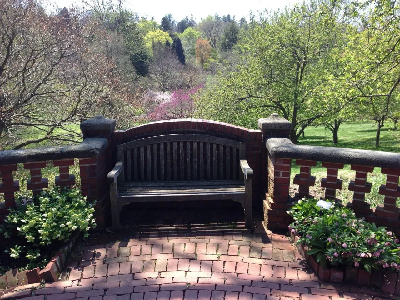 Morris Arboretum: Home Tweet Home