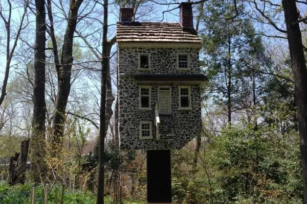 Morris Arboretum: Home Tweet Home