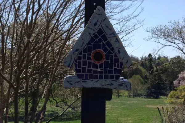 Morris Arboretum: Home Tweet Home