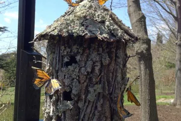 Morris Arboretum: Home Tweet Home