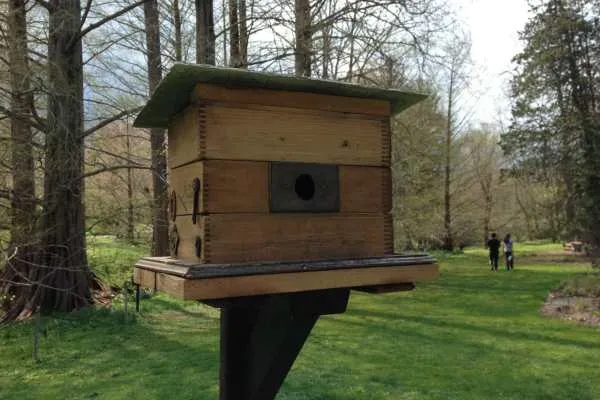Morris Arboretum: Home Tweet Home