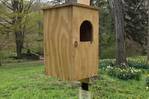 Morris Arboretum: Home Tweet Home