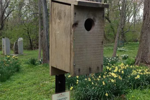 Morris Arboretum: Home Tweet Home