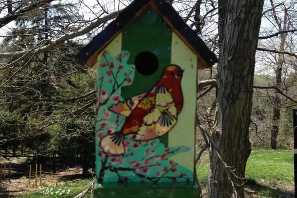 Morris Arboretum: Home Tweet Home