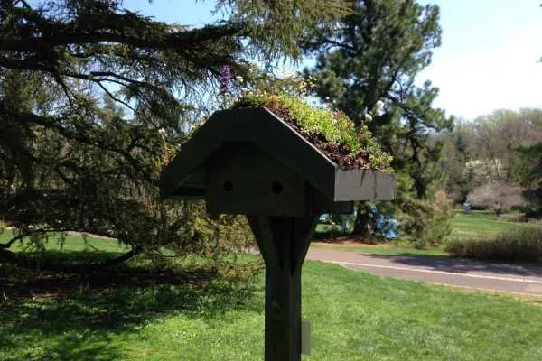 Morris Arboretum: Home Tweet Home