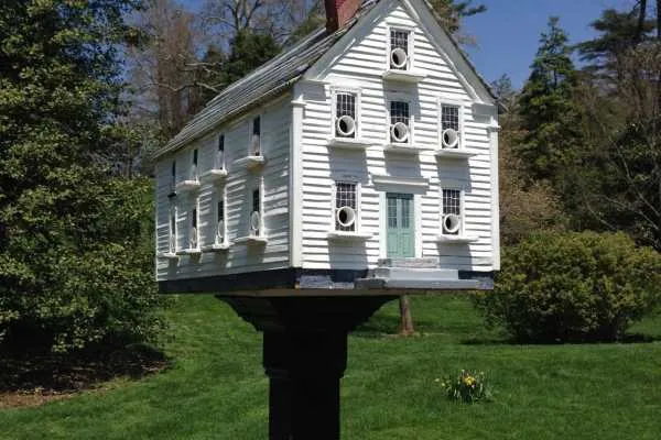 Morris Arboretum: Home Tweet Home