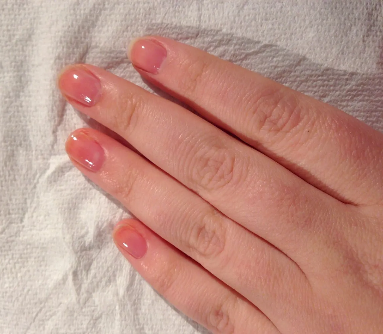Nail Art: Butterfly Wings Design by