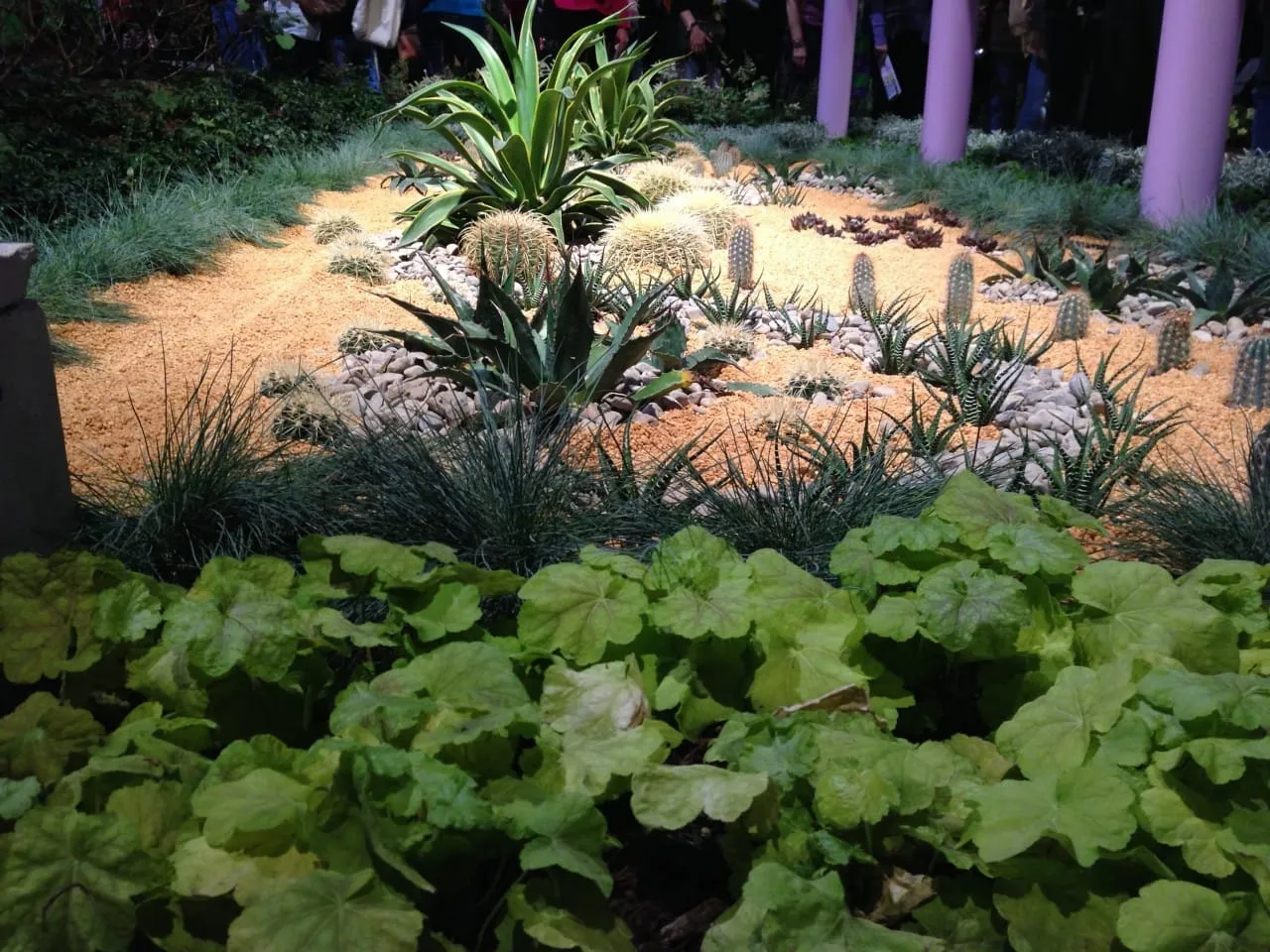 Philadelphia Flower Show!