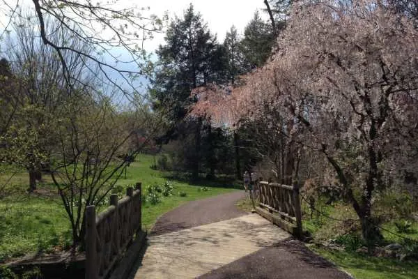 Morris Arboretum: Home Tweet Home