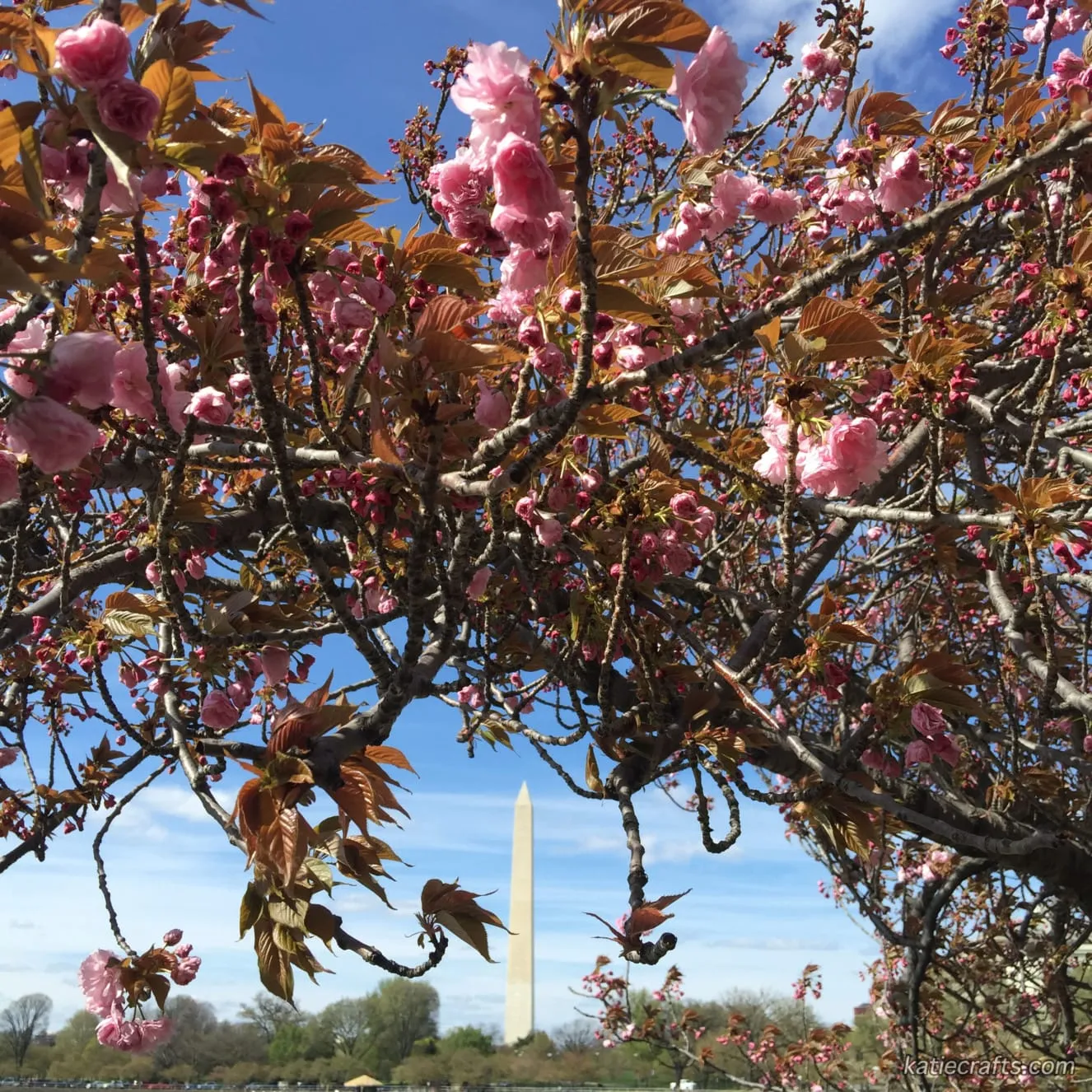Washington D.C. Photo Recap!