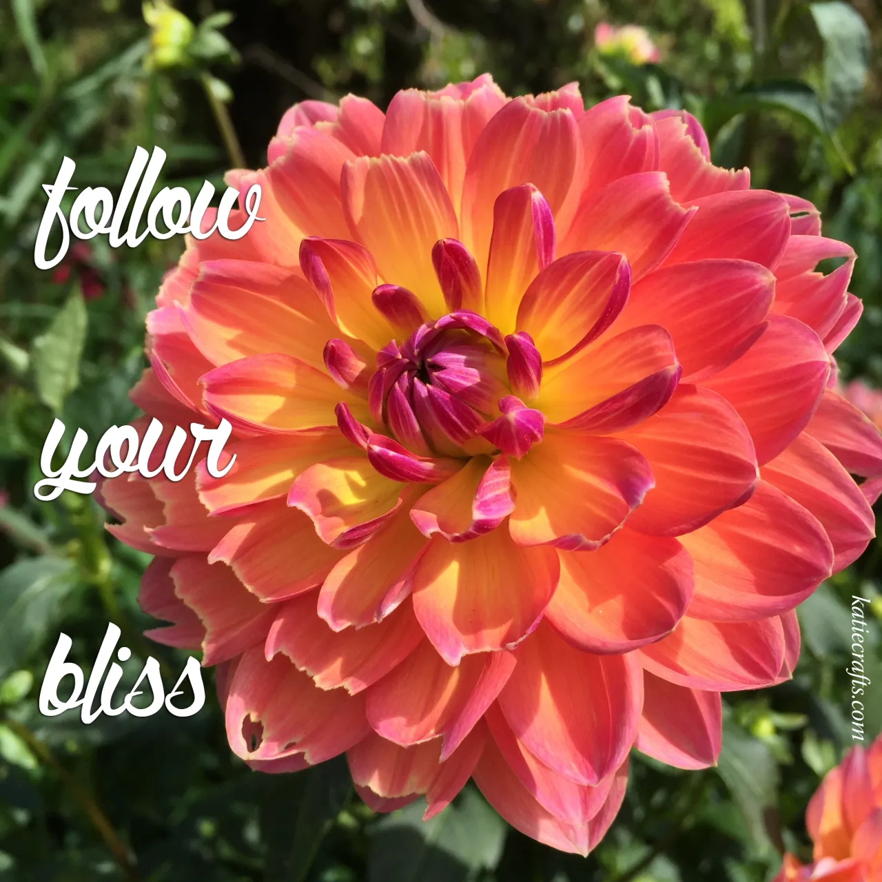 Words for Wednesday: Follow Your Bliss