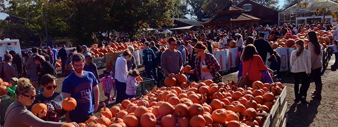 Family Trip to Linvilla Orchards