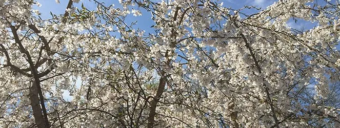 Wordless Wednesday: Mother's Day