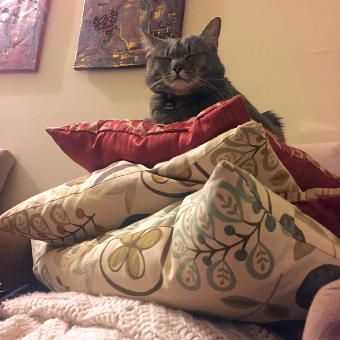 Wordless Wednesday: Pillow Queen