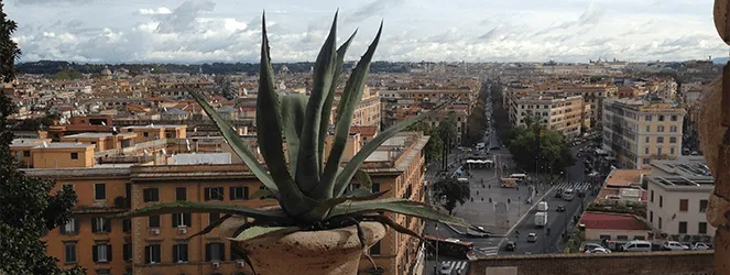 Wordless Wednesday: Vatican City