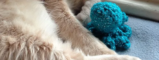 Crochet Octopus Toy Pattern for Kitty!