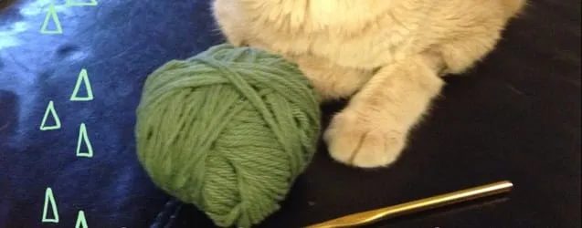 Crash Course in Crochet