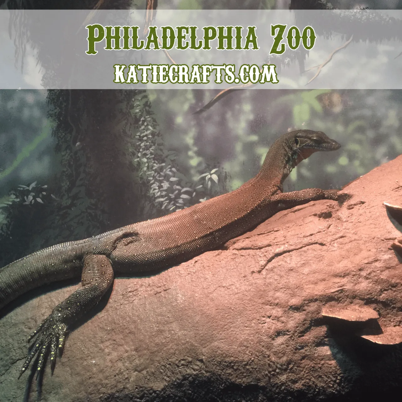 Philadelphia Zoo!