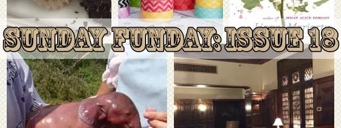 Sunday Funday: Issue 18