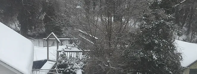 Wordless Wednesday: Winter Wonderland