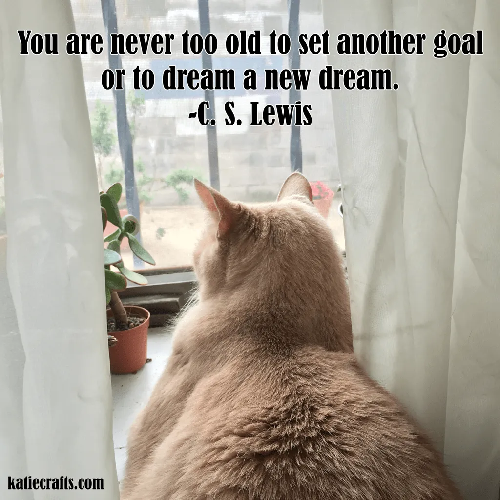 Words for Wednesday: "You are never too old to set another goal or to dream a new dream." C. S. Lewis; http://www.katiecrafts.com