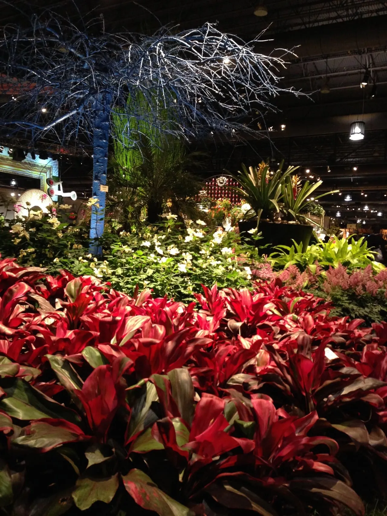 Philadelphia Flower Show!