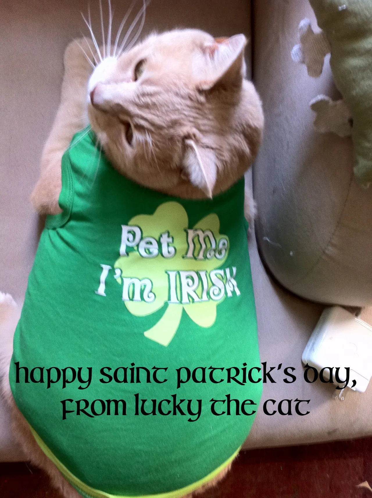 happy-saint-paddys-from-lucky