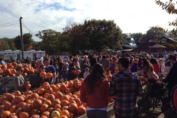 Family Trip to Linvilla Orchards