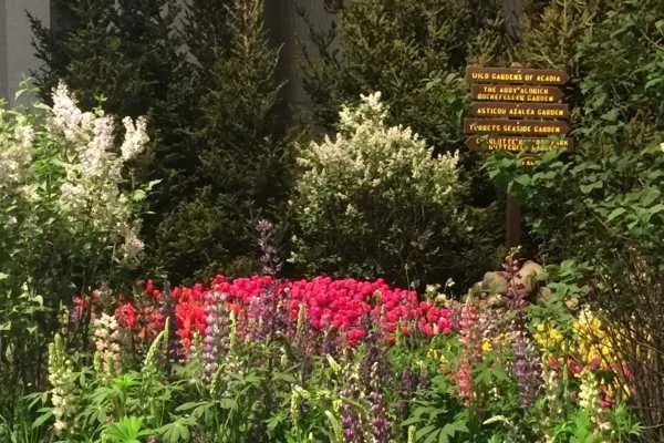 2016 Philly Flower Show Recap