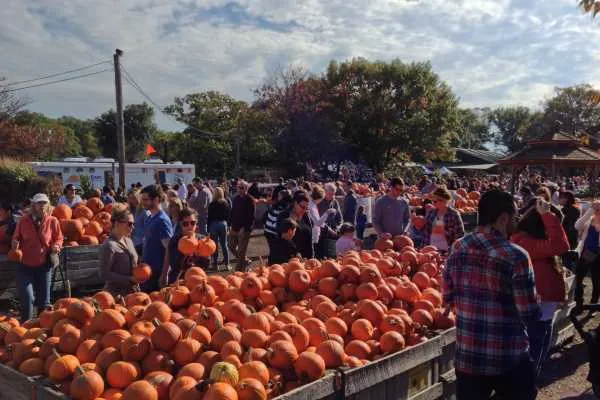 Family Trip to Linvilla Orchards