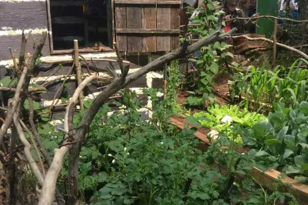 2016 Philly Flower Show Recap