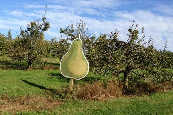 Family Trip to Linvilla Orchards