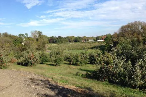 Family Trip to Linvilla Orchards