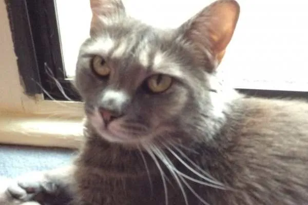 Sunbathing