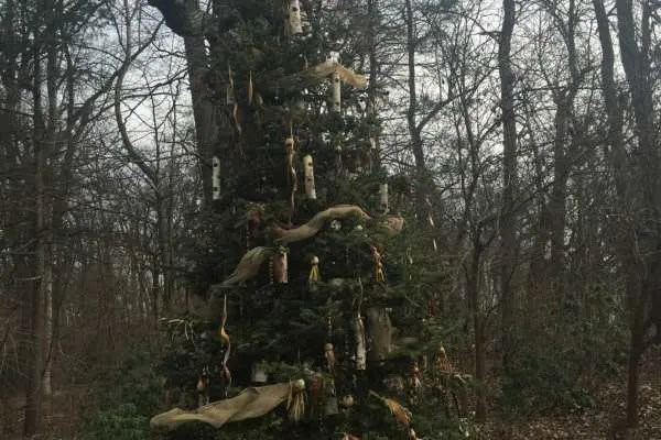 A Longwood Christmas