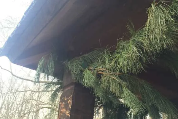 A Longwood Christmas