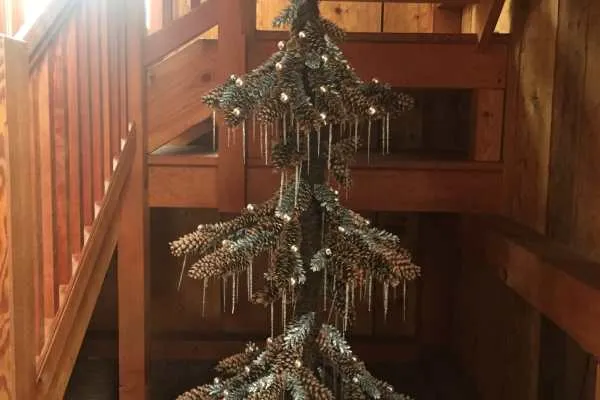 A Longwood Christmas