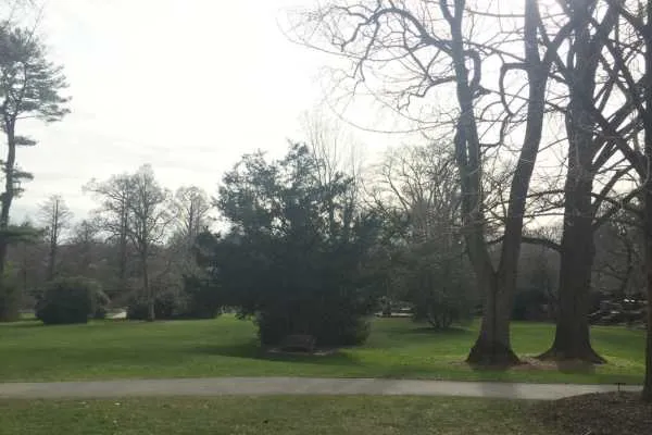 A Longwood Christmas