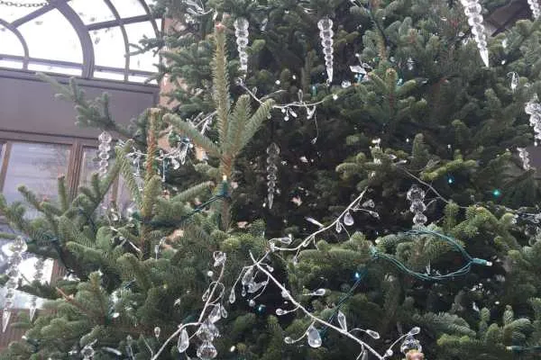 A Longwood Christmas
