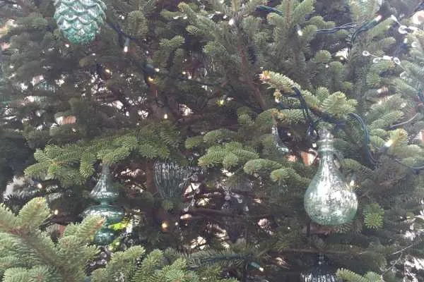 A Longwood Christmas