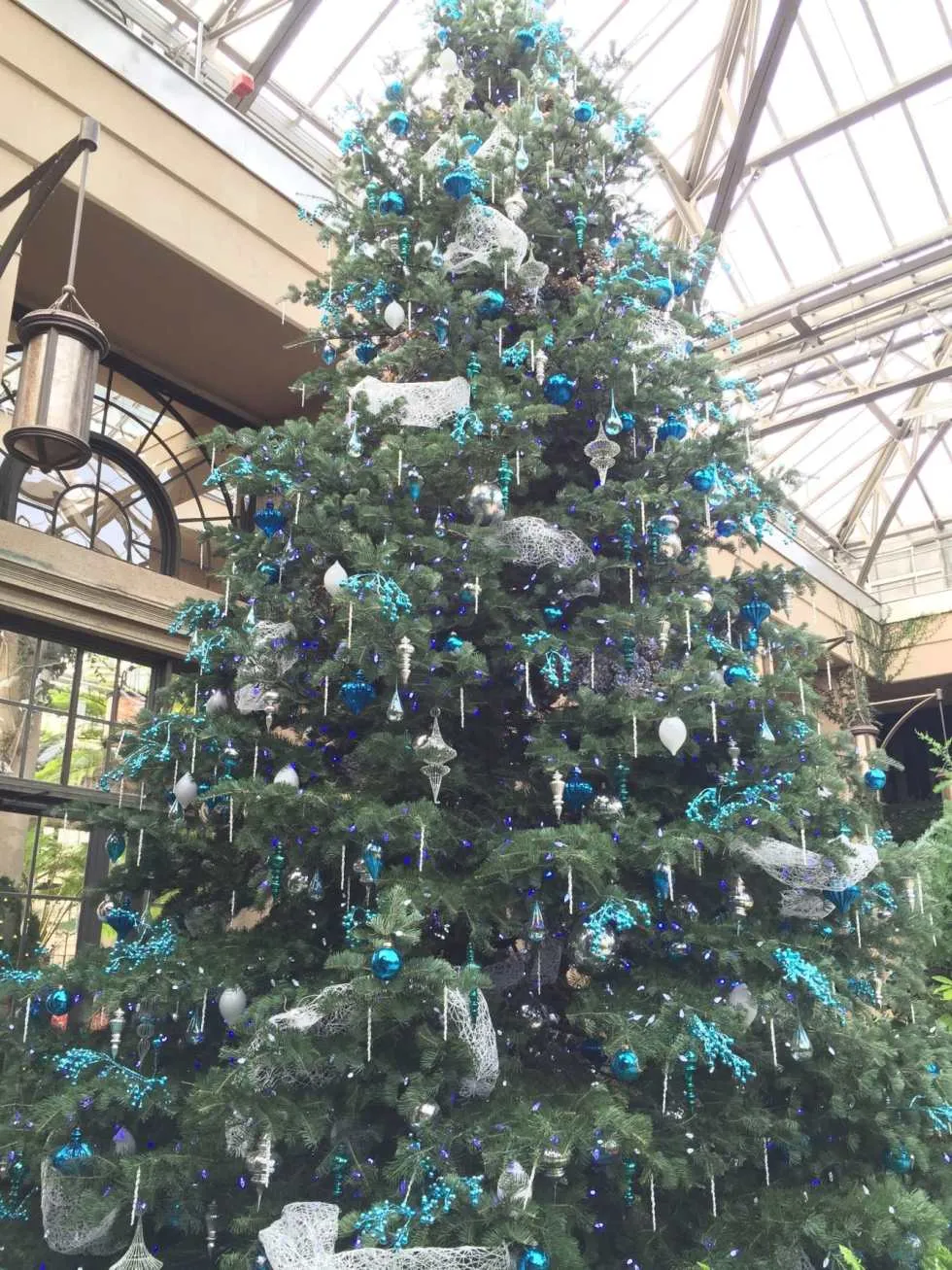 A Longwood Christmas