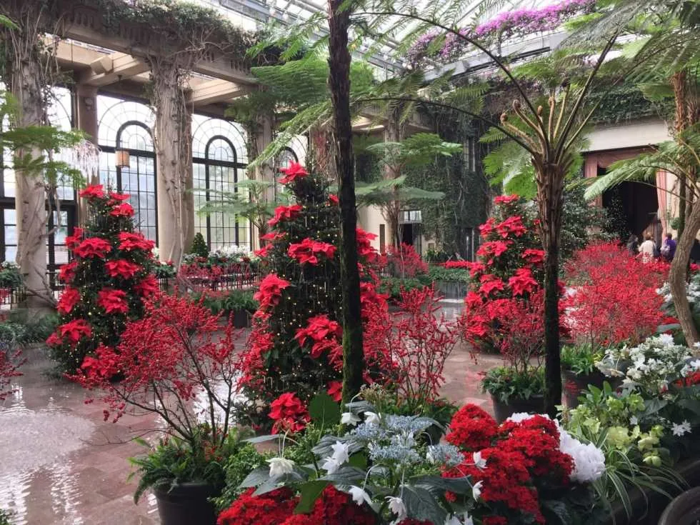 A Longwood Christmas