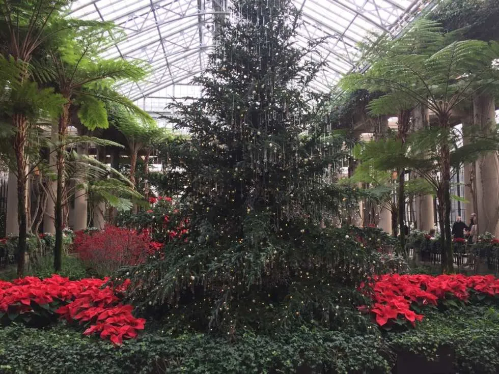 A Longwood Christmas