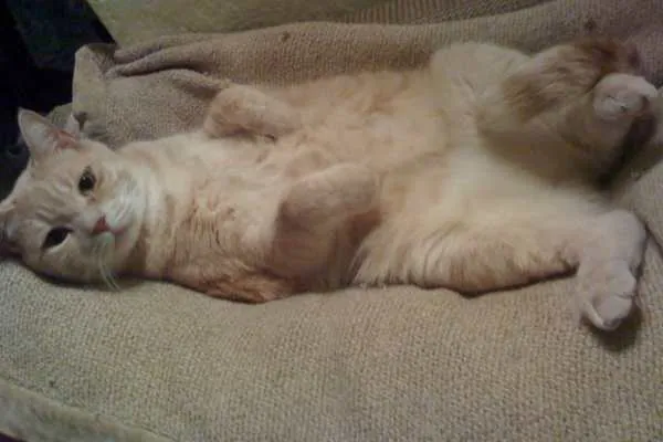 Lucky is Sexy
