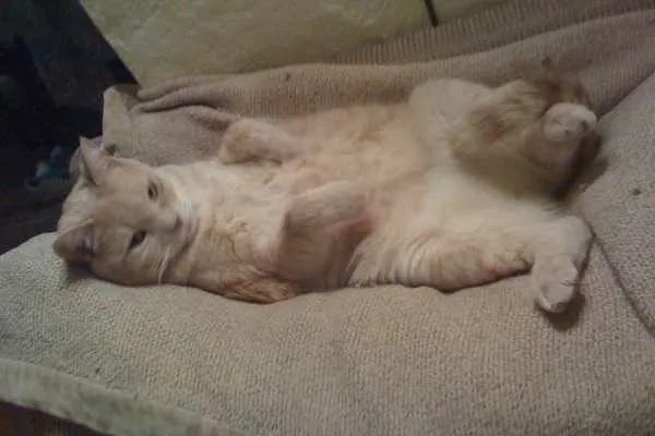 Lucky is Sexy
