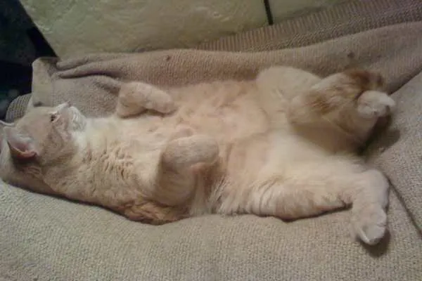 Lucky is Sexy