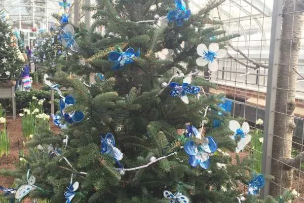 A Longwood Christmas
