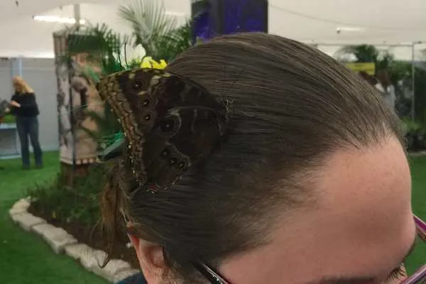 Philly Flower Show 2015 Recap by