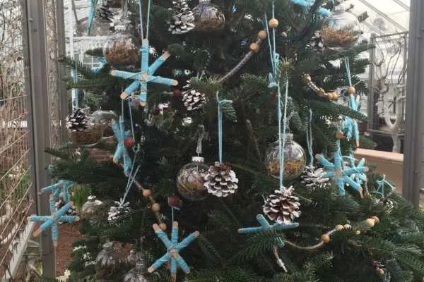 A Longwood Christmas